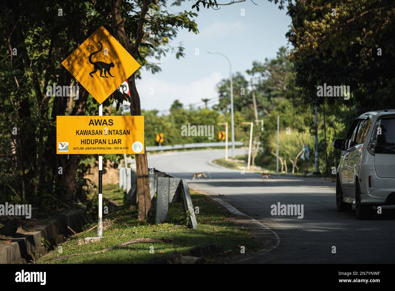 Ein Schild mit "Achtung Affen auf der Straße" in Langkawi Stockfoto