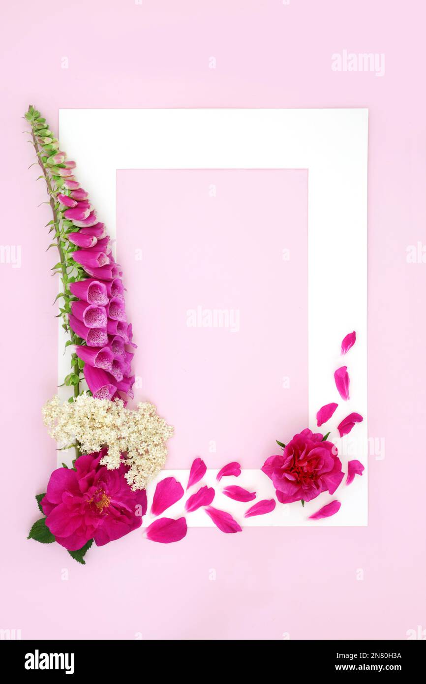 Holunderblüten, Rosen und Fuchshandschuhe Wildblumen abstrakte Natur minimaler Hintergrund. Blüten in der traditionellen pflanzlichen Medizin. Stockfoto