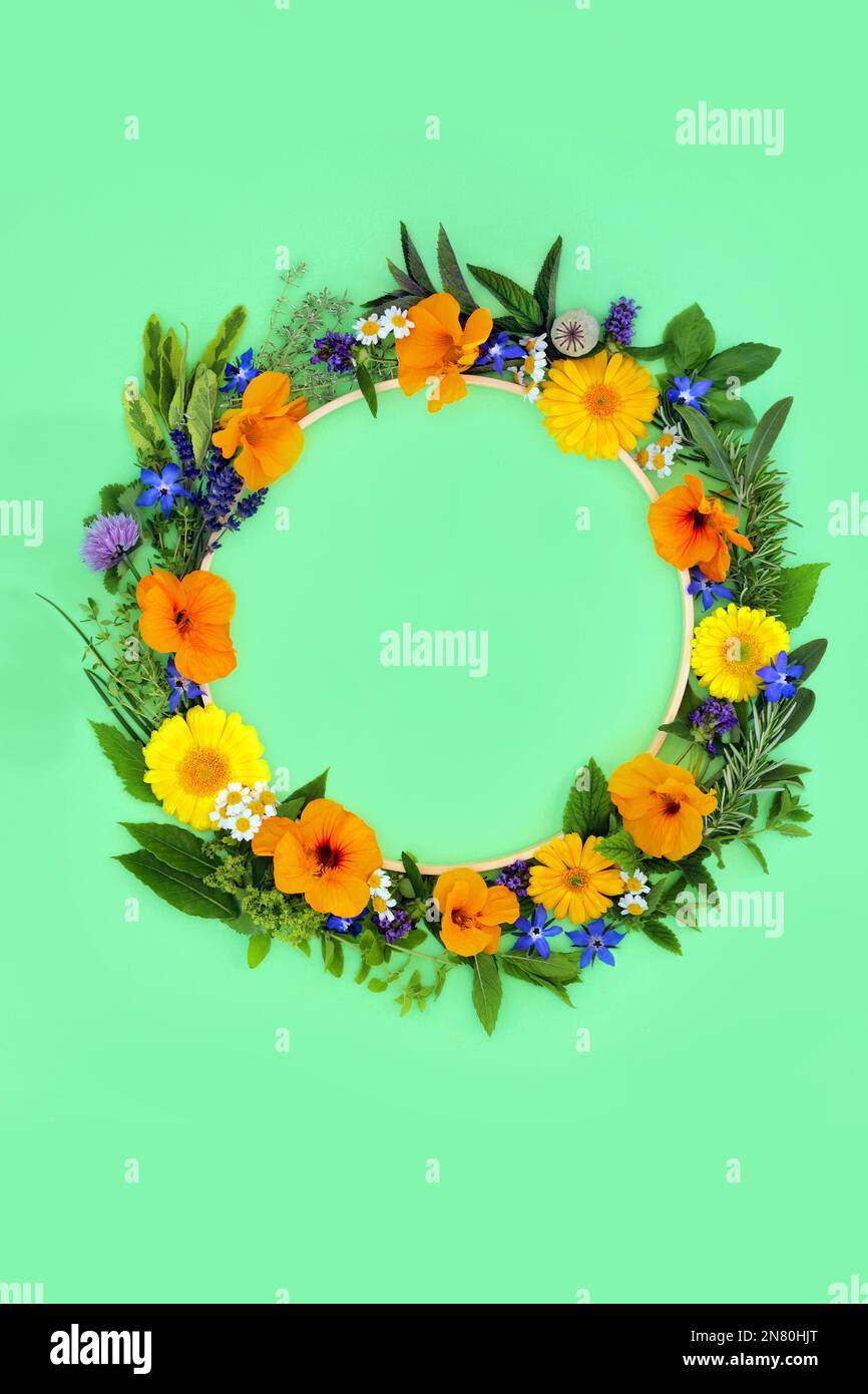 Kräuter und essbare Blüten und Wildblumenkranz für die natürliche pflanzliche Medizin. Kreatives minimales Design natürliche Gesundheit Lebensmittelkonzept. Stockfoto