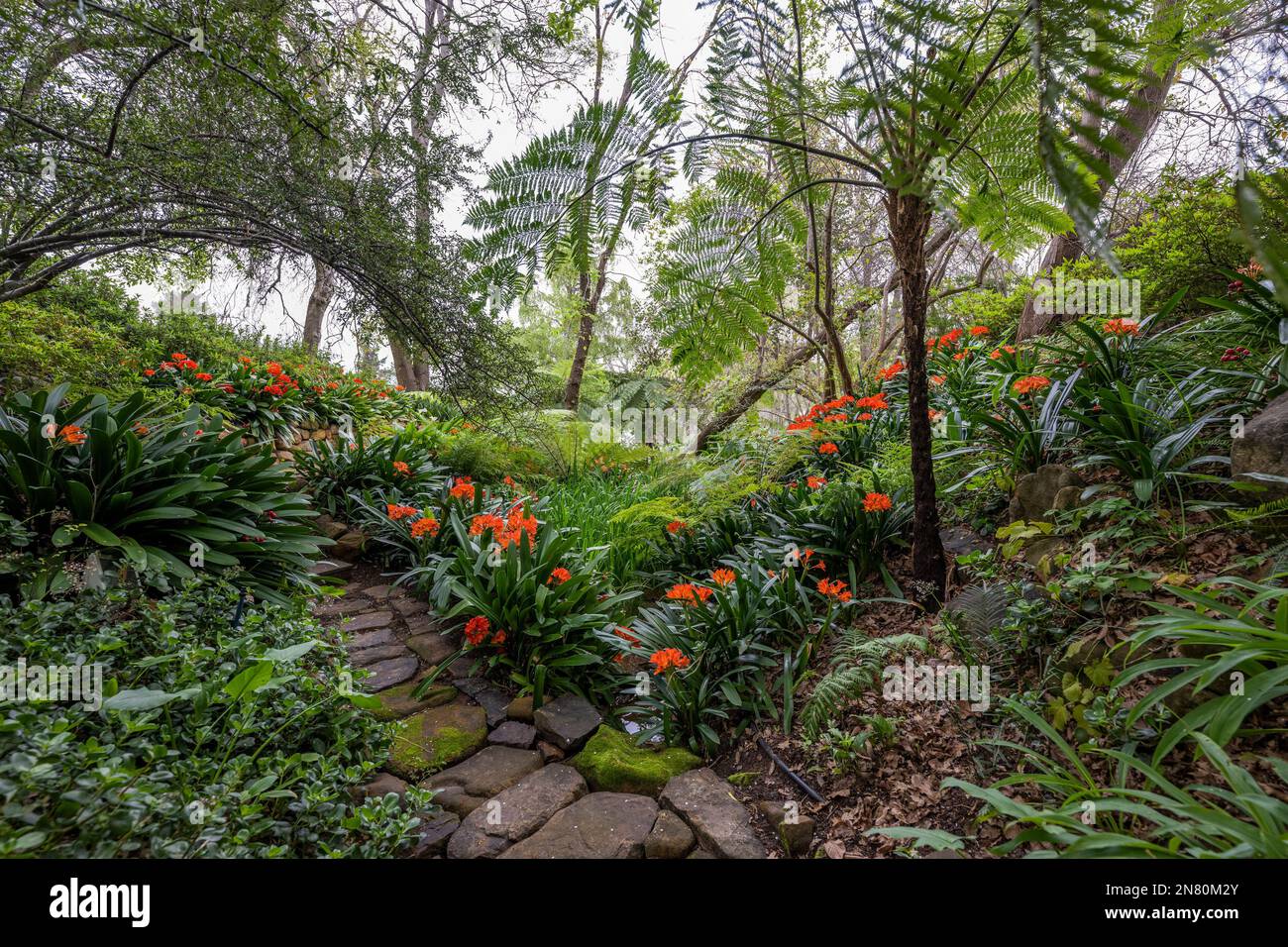 Garden of Tokara Weingut, Stellenbosch, Westkap, Südafrika Stockfoto