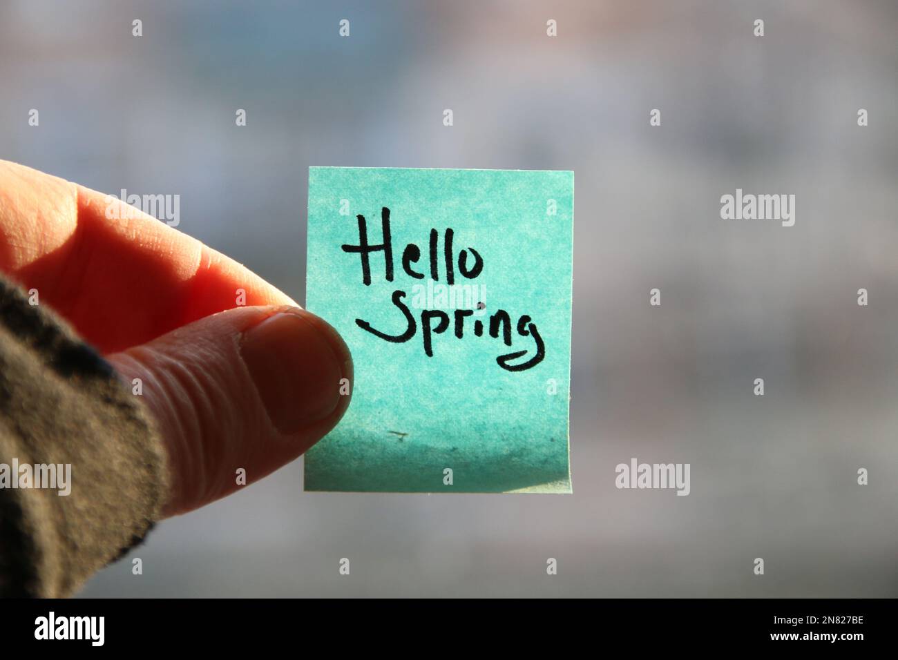 Hallo Frühlingskonzept! Die Inschrift auf dem blauen Schild. Stockfoto