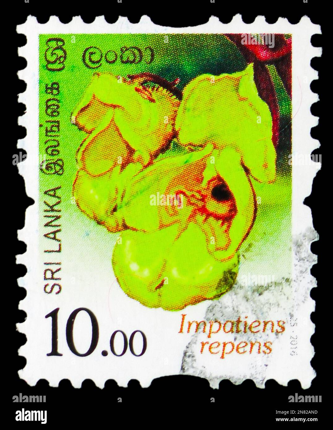 MOSKAU, RUSSLAND - 4. FEBRUAR 2023: Poststempel in Sri Lanka zeigt die Serie Impatiens repens, Flowers of Sri Lanka, circa 2016 Stockfoto