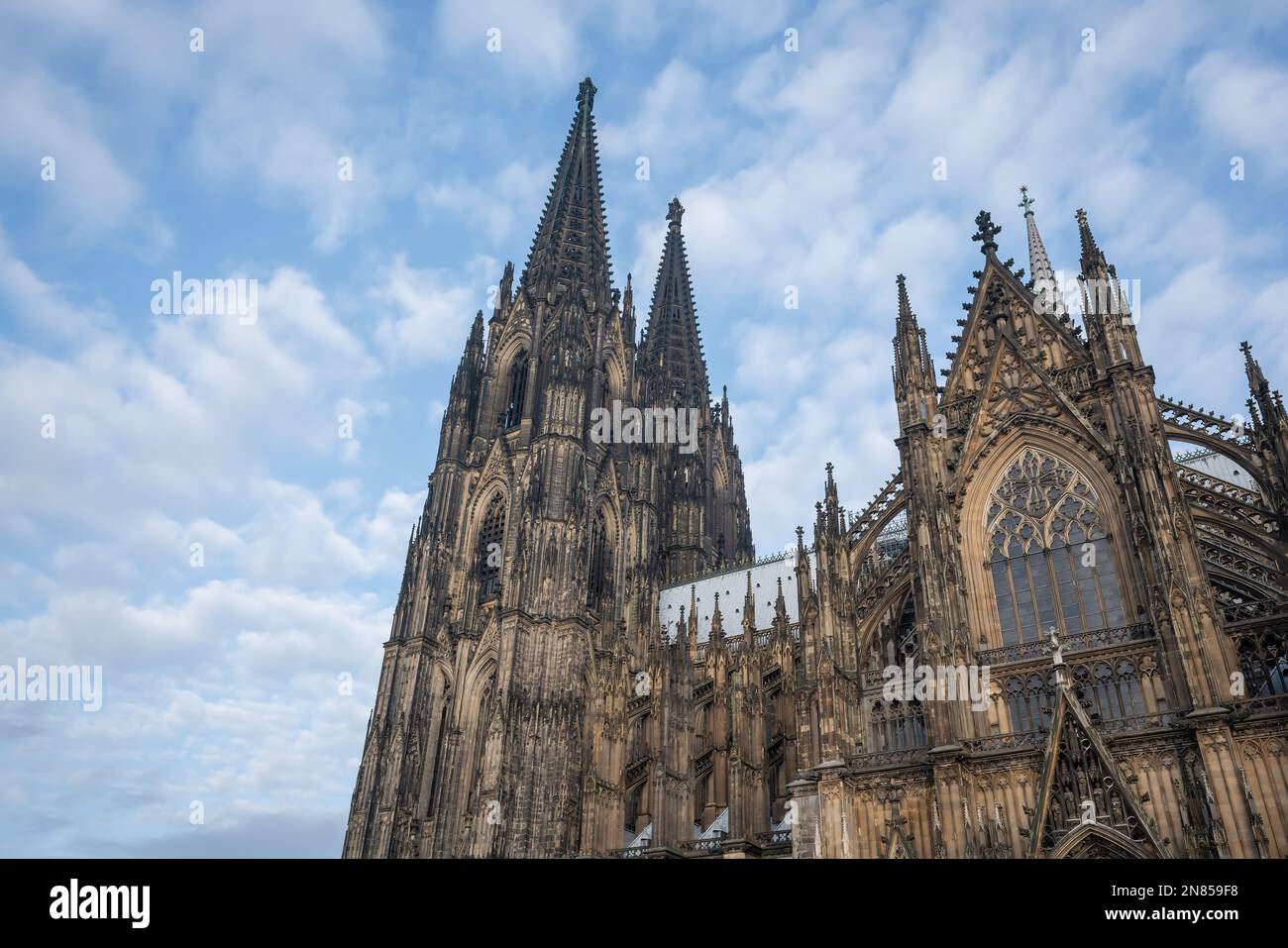 Kölner Dom - Köln, Deutschland Stockfoto