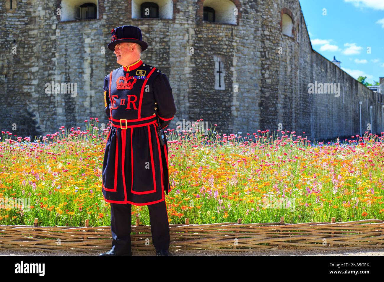 Beefeater, Tower o London, Juni 2022. Eine Yeoman of the Guard, die vor dem Tower of London steht, mit dem wilden Wiesengraben im Hintergrund. It Stockfoto