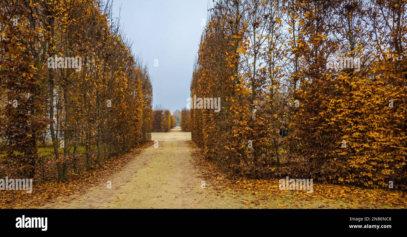 Panoramablick auf Venaria reale Gärten in der Herbstsaison - Turin, Piemont Region in Norditalien - Europa Stockfoto