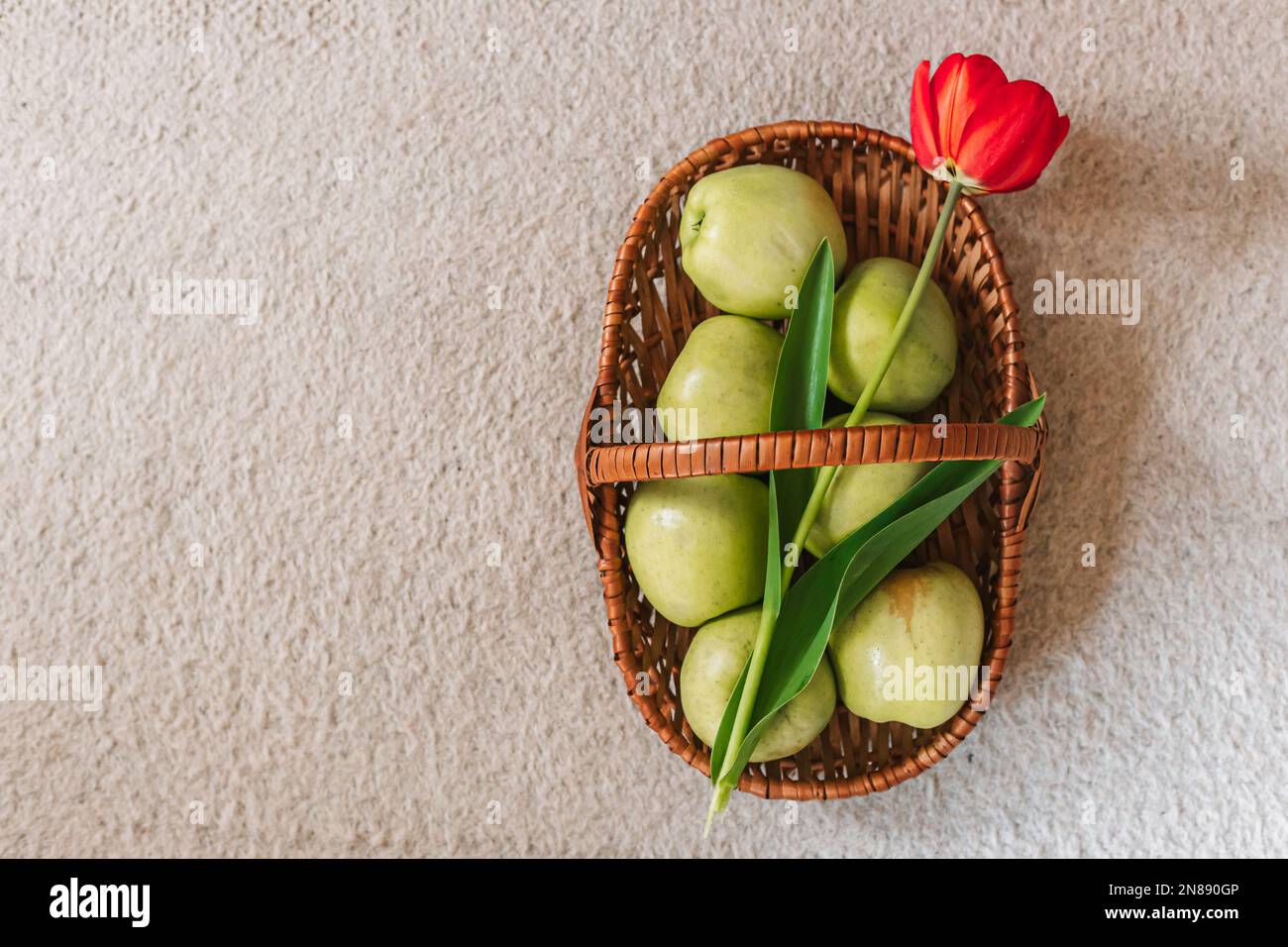 Frische, grüne Äpfel im Korb und eine rote Tulpe. Draufsicht, Frühjahrssymbolik. Speicherplatz kopieren Stockfoto