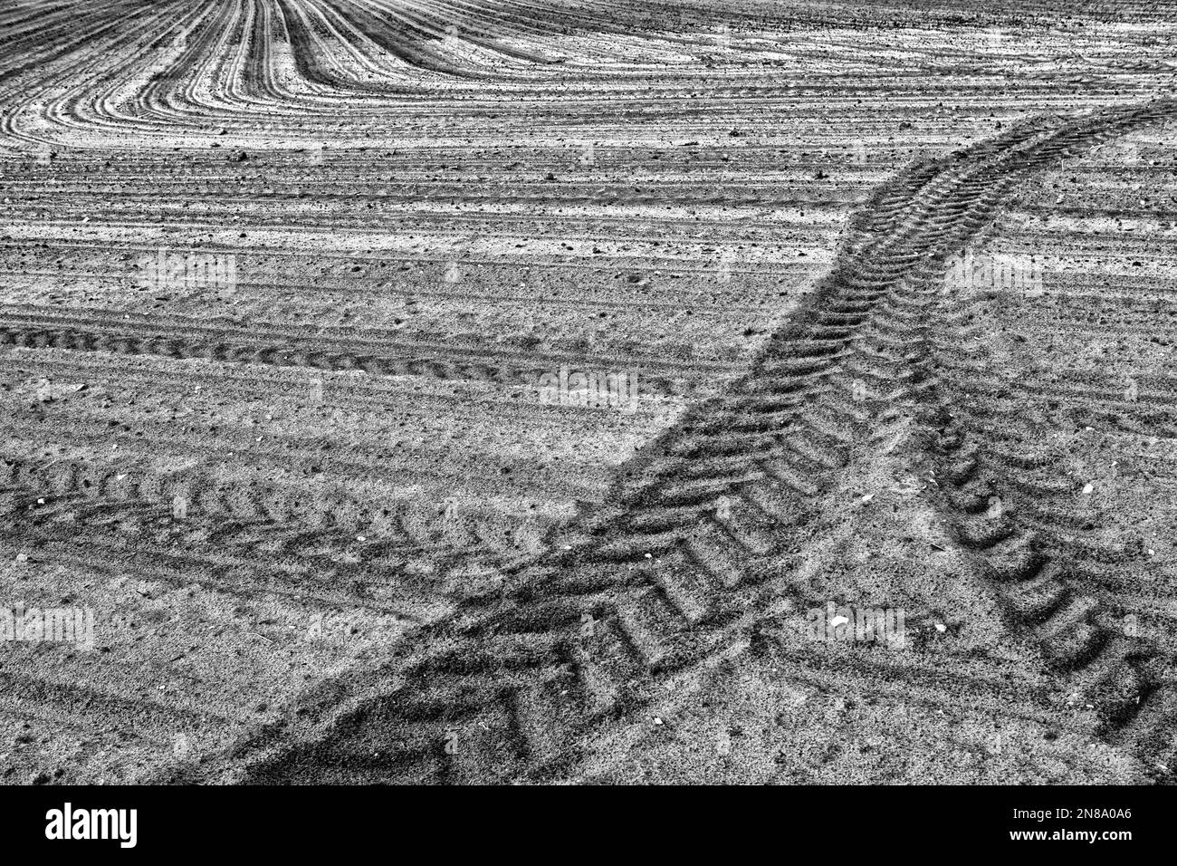 Sand, sandiger Boden, Traktorspuren Stockfoto