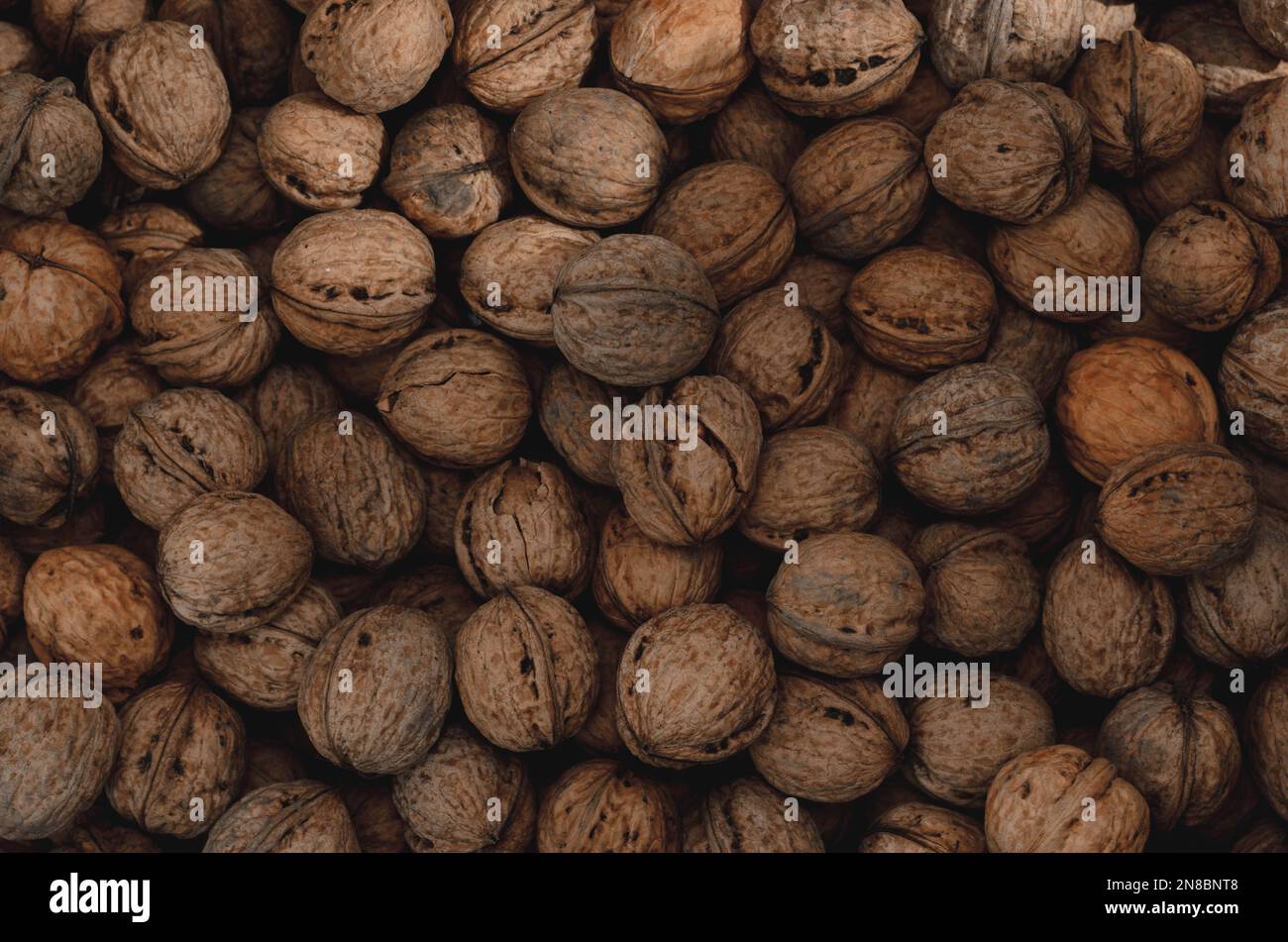 Walnuss-Hintergrund Nahaufnahme. Nicht ausgelöste, getrocknete Samen des Walnussbaums Juglans regia. Ein Haufen ganzer Nüsse mit Schalen, die als Snack zum Backen verwendet werden Stockfoto