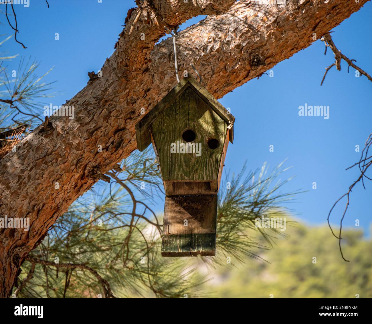 Ein wunderschöner Blick auf eine hölzerne Nistbox für Vögel, die in Alanya, Türkei, an einem Baum hängen Stockfoto