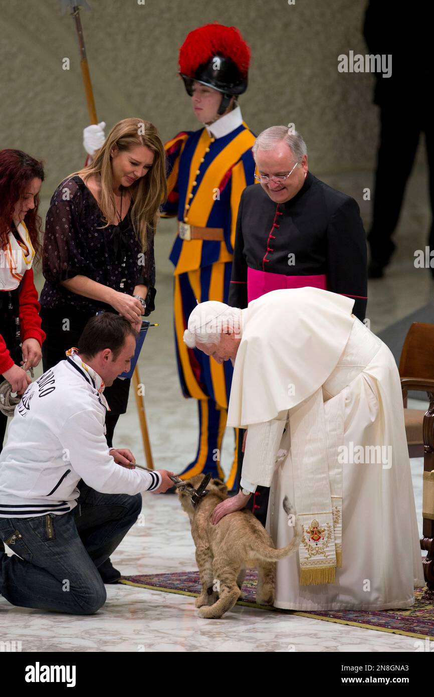 Pope Benedict XVI strokes a lion cub as he greets circus artists and workers during an audience he held in the Pope Paul VI hall, at the Vatican, Saturday, Dec. 1, 2012. Benedict clapped and watched amused as circus workers flipped, flopped, juggled and twisted before him in what the Vatican has called a historic audience to make street performers and other itinerant entertainers feel like they belong to the church. (AP Photo/Andrew Medichini) Stockfoto