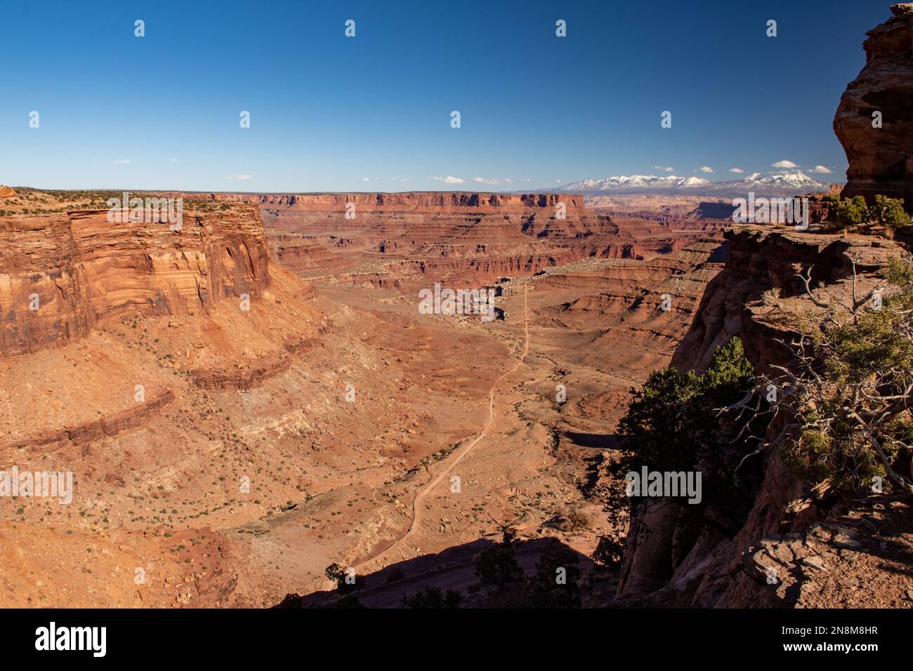 Shafer Trail zum White Rim Road Overlook, Canyonlands National Park, Utah, USA Stockfoto