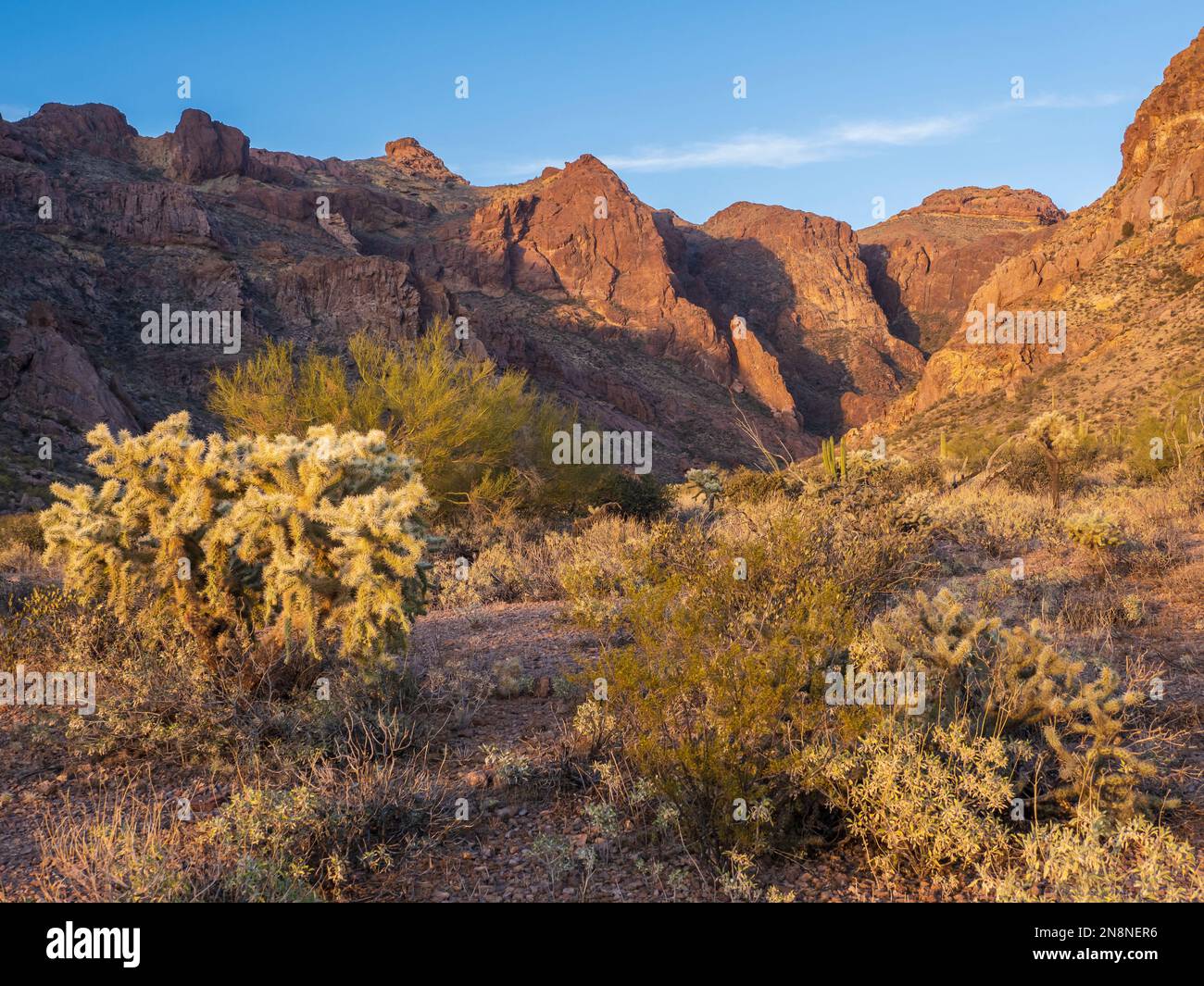 Arch Canyon, Ajo Mountain Drive, Organ Pipe Cactus National Monument, Arizona. Stockfoto