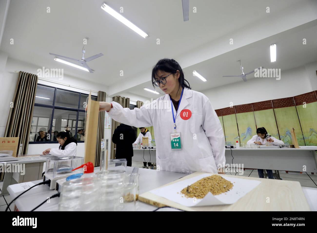 CHENZHOU, CHINA - 10. FEBRUAR 2023 - Teilnehmer nehmen an einem Test zur Saatgutqualität an der Zixing Vocational and Technical School in Zentralchina Teil Stockfoto