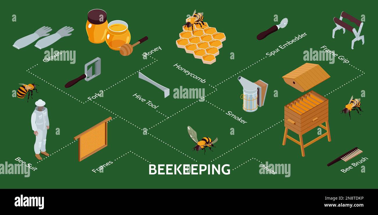 Isometrische Infografiken zur Imkerei mit Bienenstöcken-Ausrüstung, Bauer trägt Schutzanzug auf grünem Hintergrund, 3D-Vektordarstellung Stock Vektor