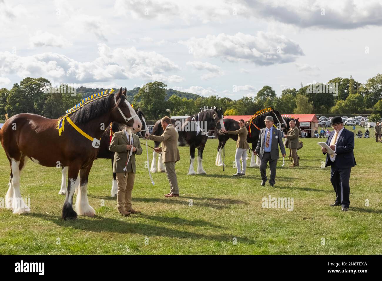 England, Dorset, Shaftesbury, die jährliche Wessex Heavy Horse Show und Country Fair, Heavy Horse Jurging Stockfoto