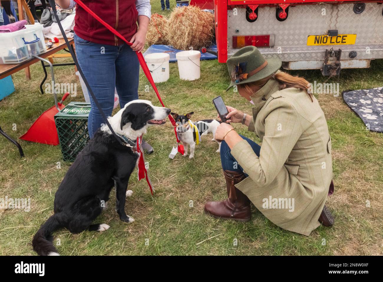 England, Dorset, Shaftesbury, die jährliche Wessex Heavy Horse Show und Country Fair, Frauen fotografieren preisgekrönte Hunde Stockfoto