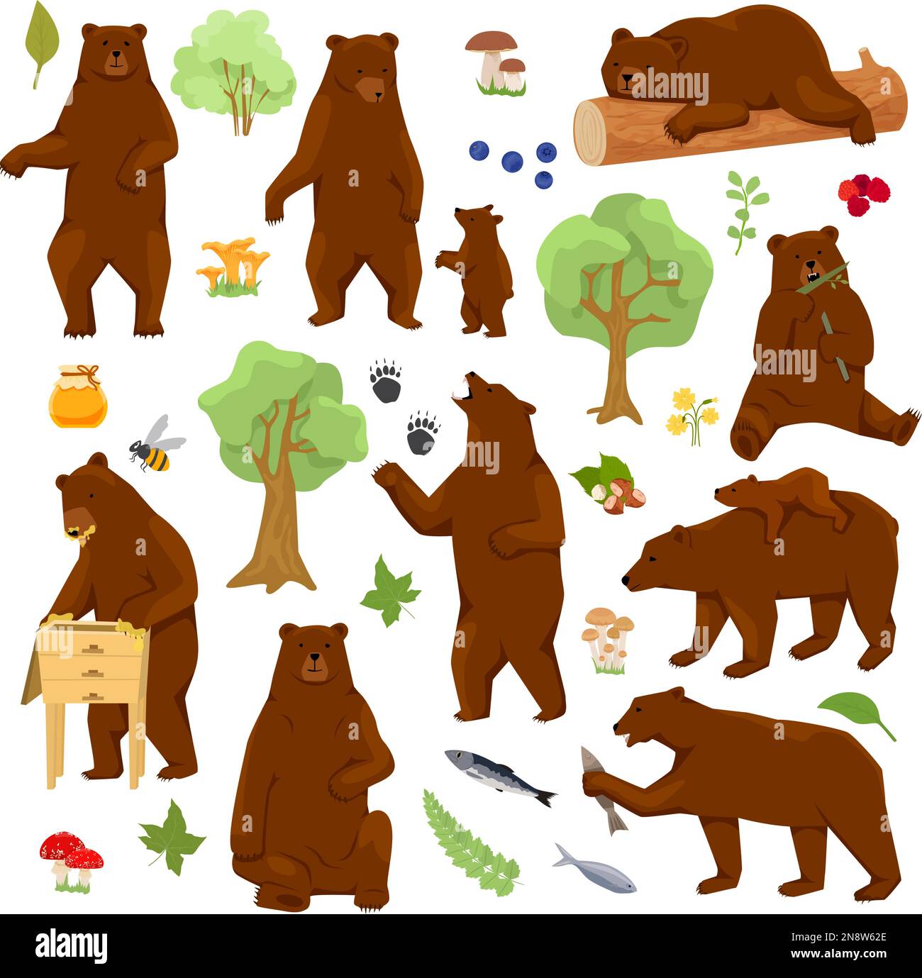 Ein flaches Set aus Grizzlybären mit isolierten Bildern von Wald- und Cartoon-Bären, die sich wie Menschen verhalten Stock Vektor