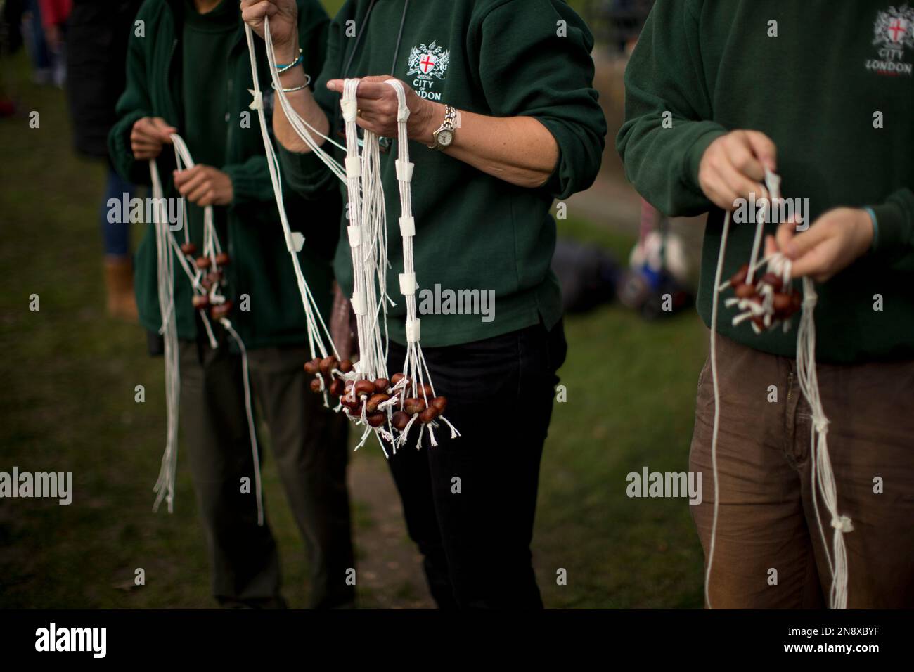 Organisers hold conkers for competitors to take before the start of the ...