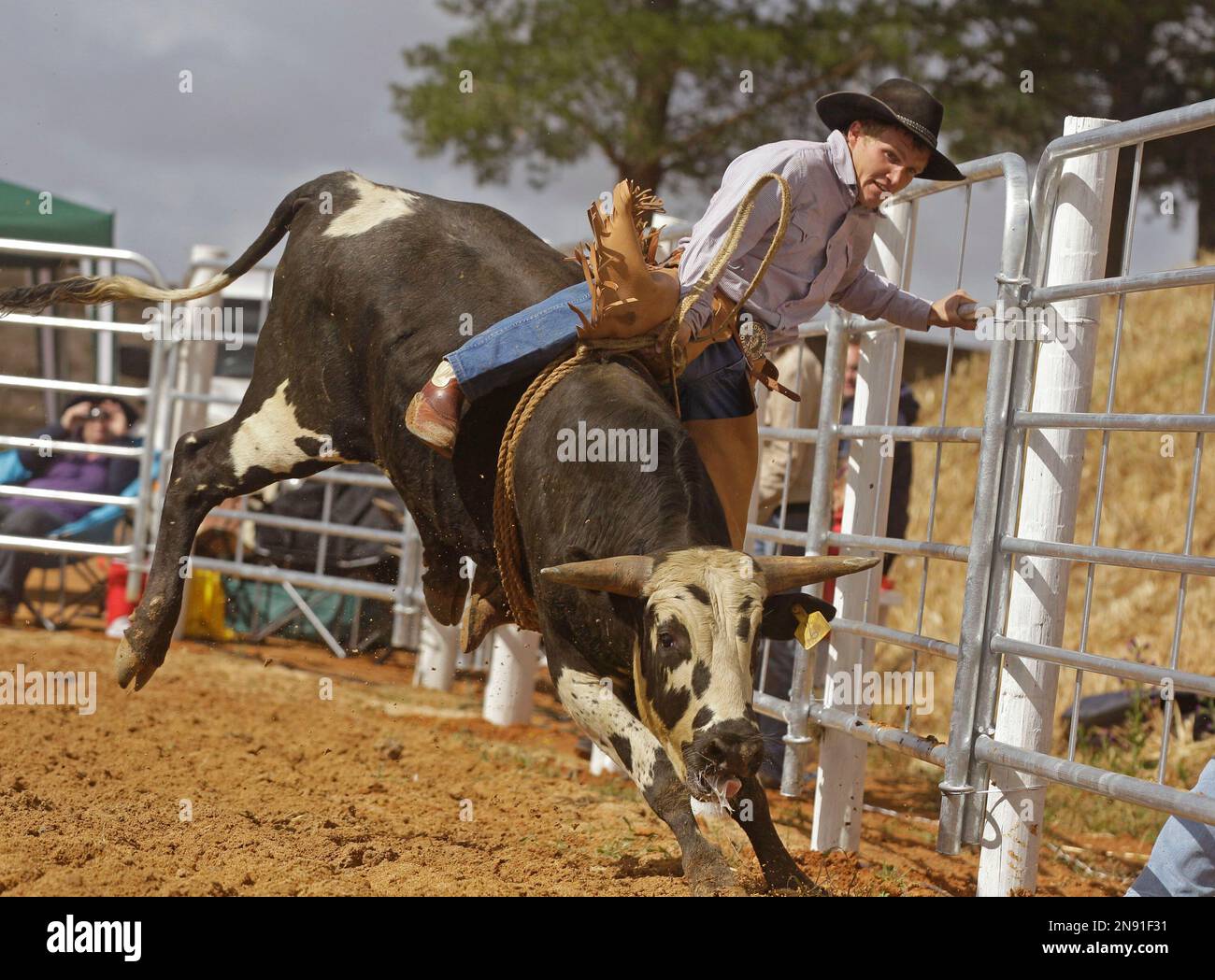 A South African rodeo cowboy is thrown from a bull in Malmesburyon the ...