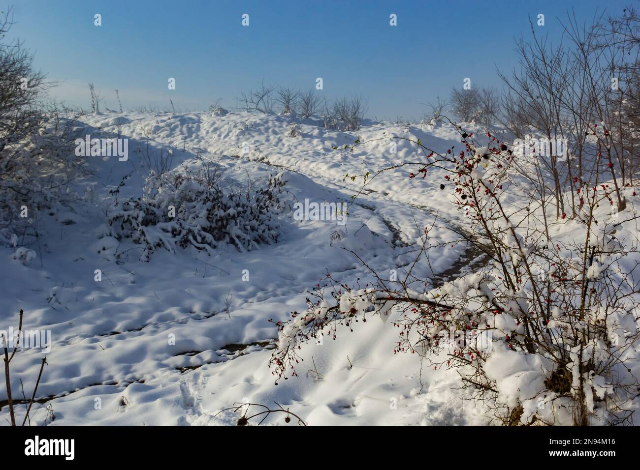 Wunderschöne Winterlandschaft mit schneebedeckten Bäumen. Blauer Himmel und strukturierter Schnee. Wintergeschichte. Stockfoto