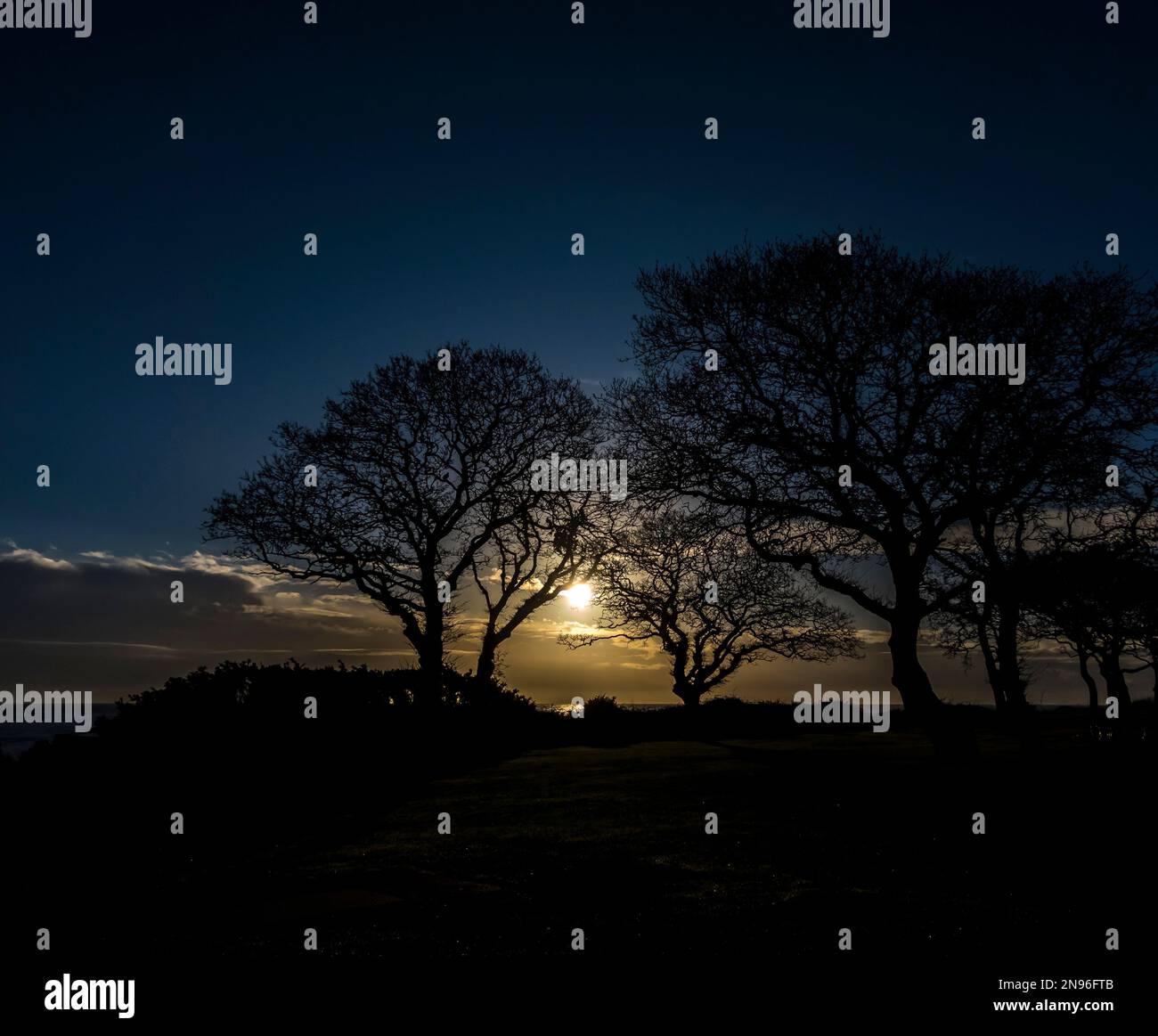 Niedrige Sonne durch Bäume, Bembridge Coast Isle of Wight Stockfoto