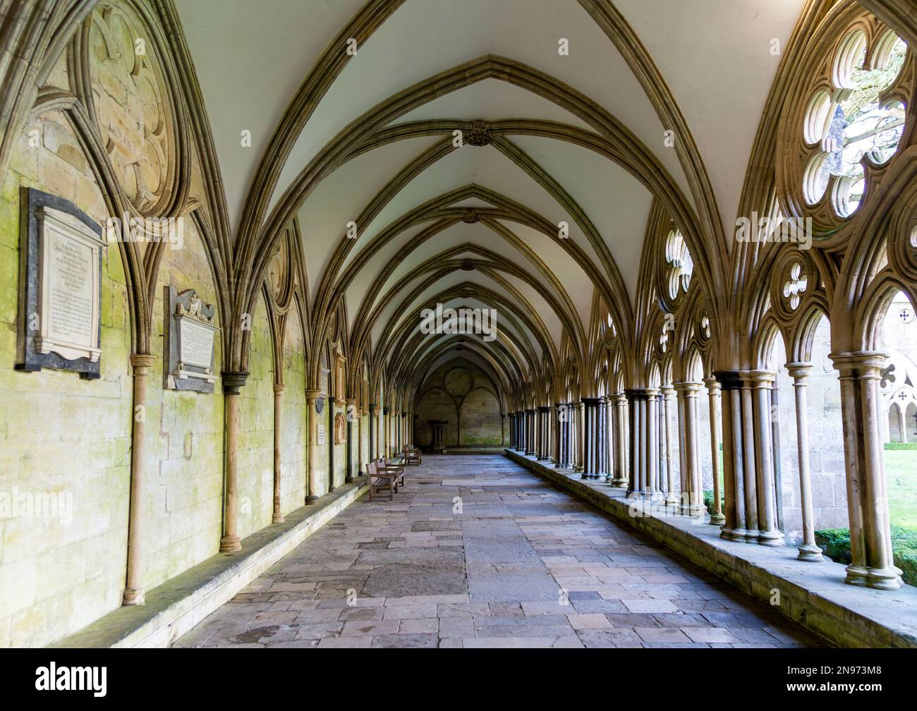 Gewölbtes Dach der Kloster in Salisbury Cathedral, Wiltshire, England, Großbritannien Stockfoto