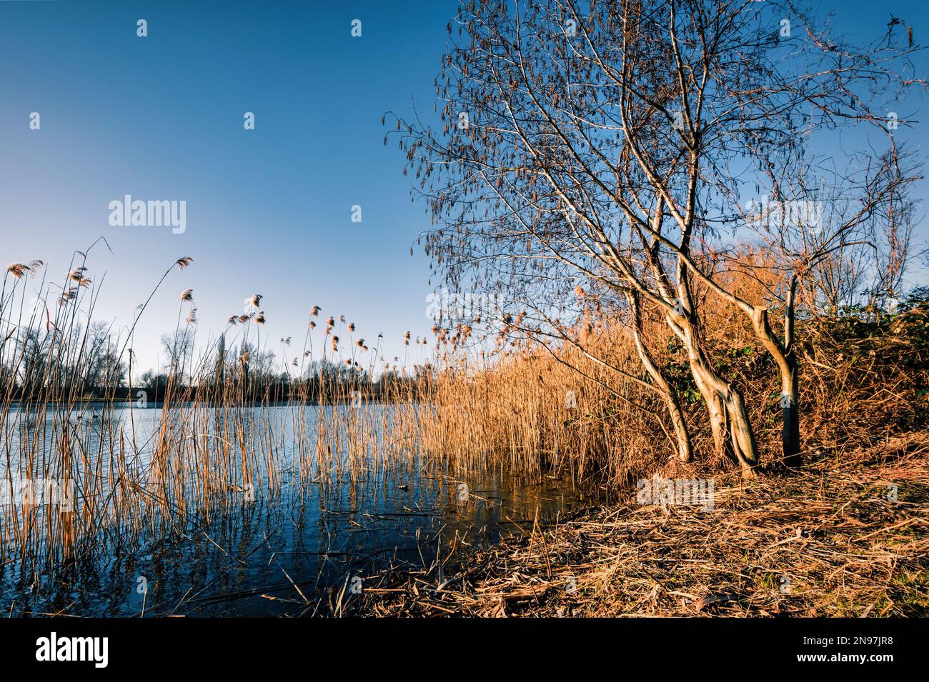 Ein romantischer See im Abendlicht. Stockfoto