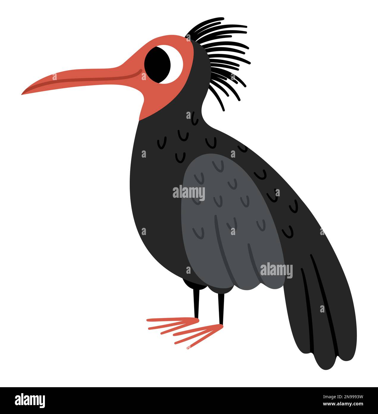 Vector Forest ibis Symbol. Darstellung gefährdeter Arten. Süßes ausgestorbenes Tier isoliert auf weißem Hintergrund. Lustige wilde Vögel-Illustration für Kinder. Nat Stock Vektor