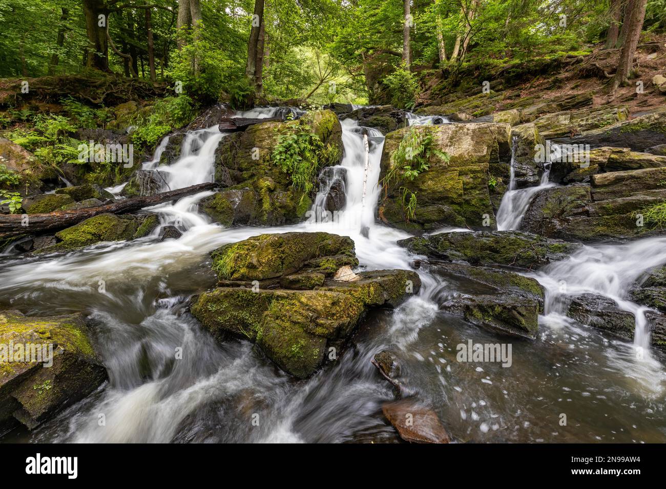 Selke-Wasserfall im Harz-Gebiet Harzgerode Selke Valley Stockfoto