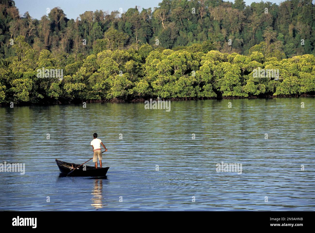 Havelock Island, Andaman- und Nicobar-Inseln, Indien, Asien Stockfoto