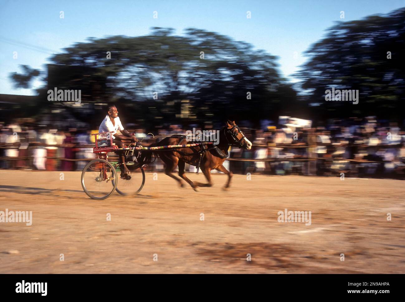 Pferdekutschenrennen durchgeführt von Society for the Prevention of Grausamkeit to Animals, S.P.C.A in Coimbatore, Tamil Nadu, Indien Stockfoto