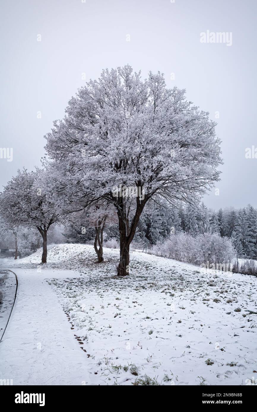 Der erste Schnee an einer Autobahnraststätte im Schwarzwald Stockfoto