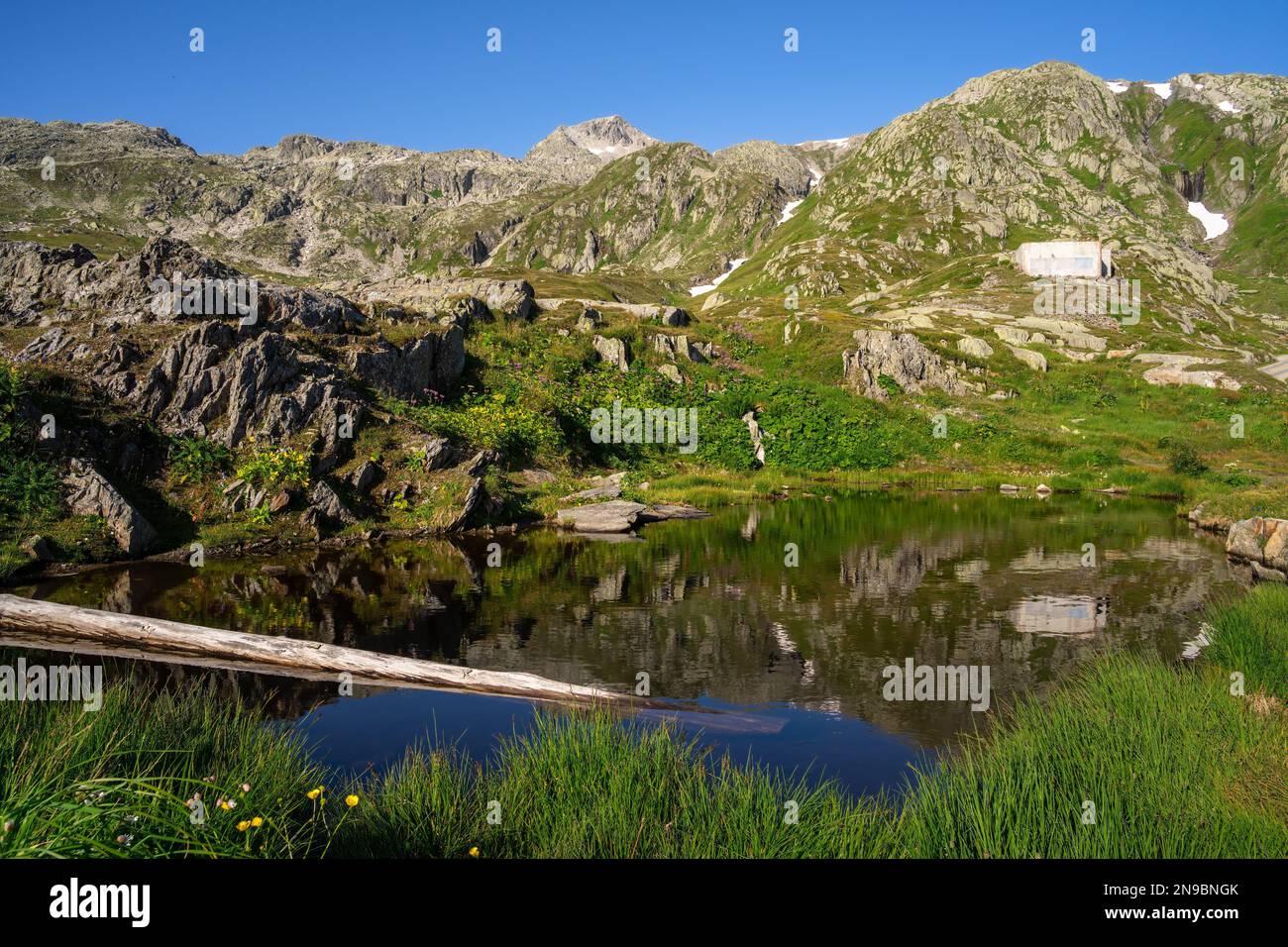 Idyllischer Morgenblick auf einen kleinen Teich mit Baumstamm am Grimselpass in der Schweiz Stockfoto