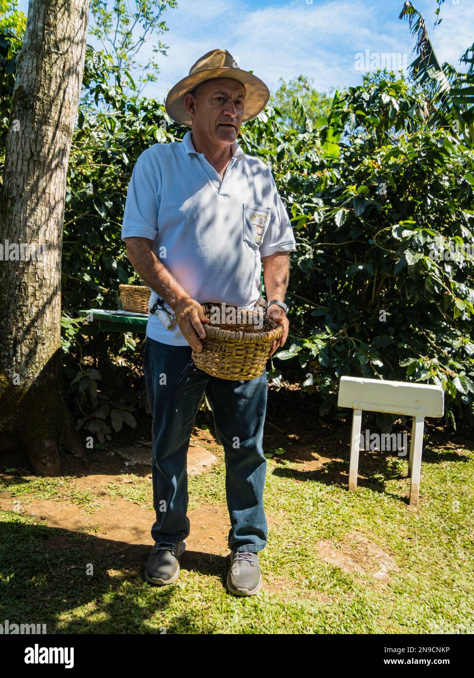 Café Los Volcanes, San Pedro de Poas, Costa Rica - Januar 24,2023: Der Bauer demonstriert, was in seiner Plantage für organischen Kaffee steckt Stockfoto