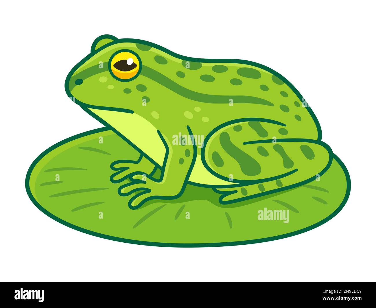 Realistische, grüne Froschzeichnung, die auf Lilienunterlage sitzt. Cartoon-Vektor-Clip-Art-Illustration. Stock Vektor