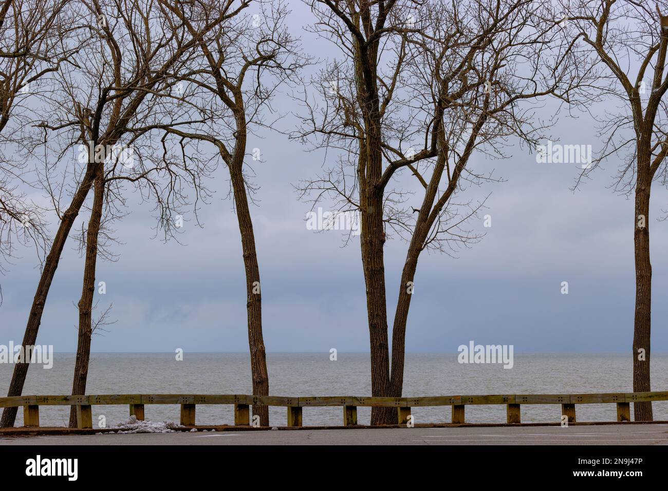 Stürmischer Himmel schwebt über dem Eriesee mit kalten Winterbäumen und Holzrand im Vordergrund Stockfoto