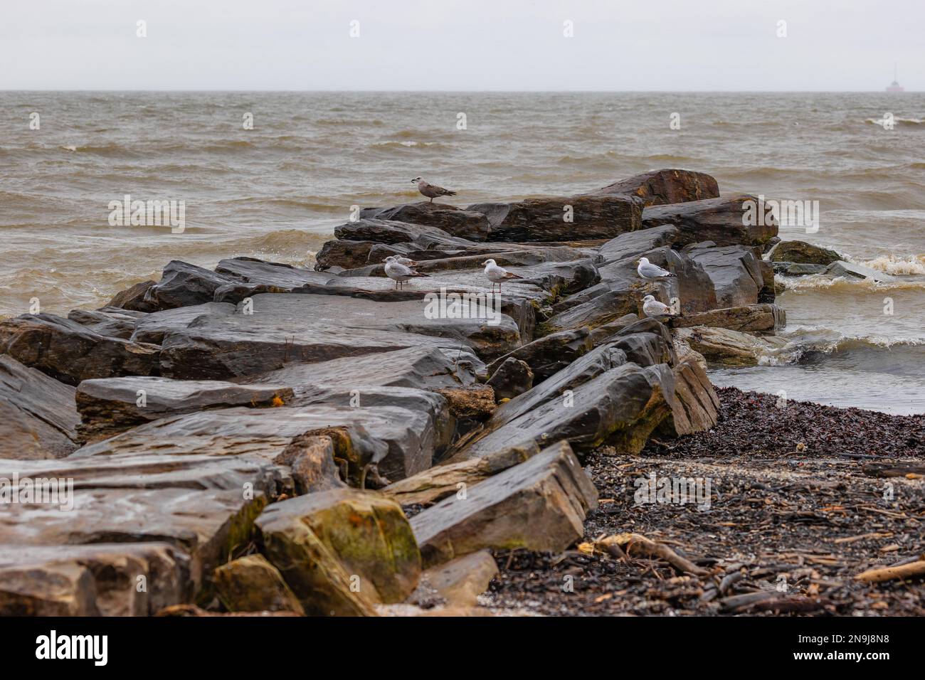 Blick vom Ufer des Lake Erie im Edgewater Park in Cleveland, Ohio, an einem kalten Wintertag. Stockfoto