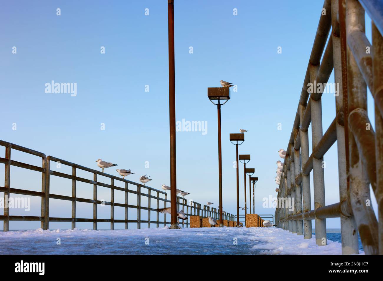 Eis und Schnee bedecken den Pier, an dem Möwen auf dem Geländer im Edgewater Park am Lake Earie Shores in Cleveland, Ohio, sitzen. Stockfoto