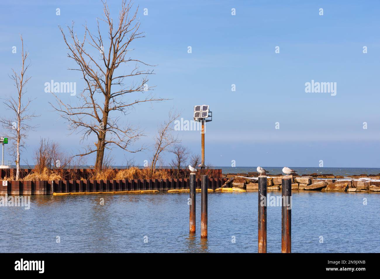 Seemöwen sitzen auf Stahlpfählen in einem Yachthafen am winterlichen Ufer des Lake Erie im Edgewater Park in Cleveland, Ohio. Stockfoto