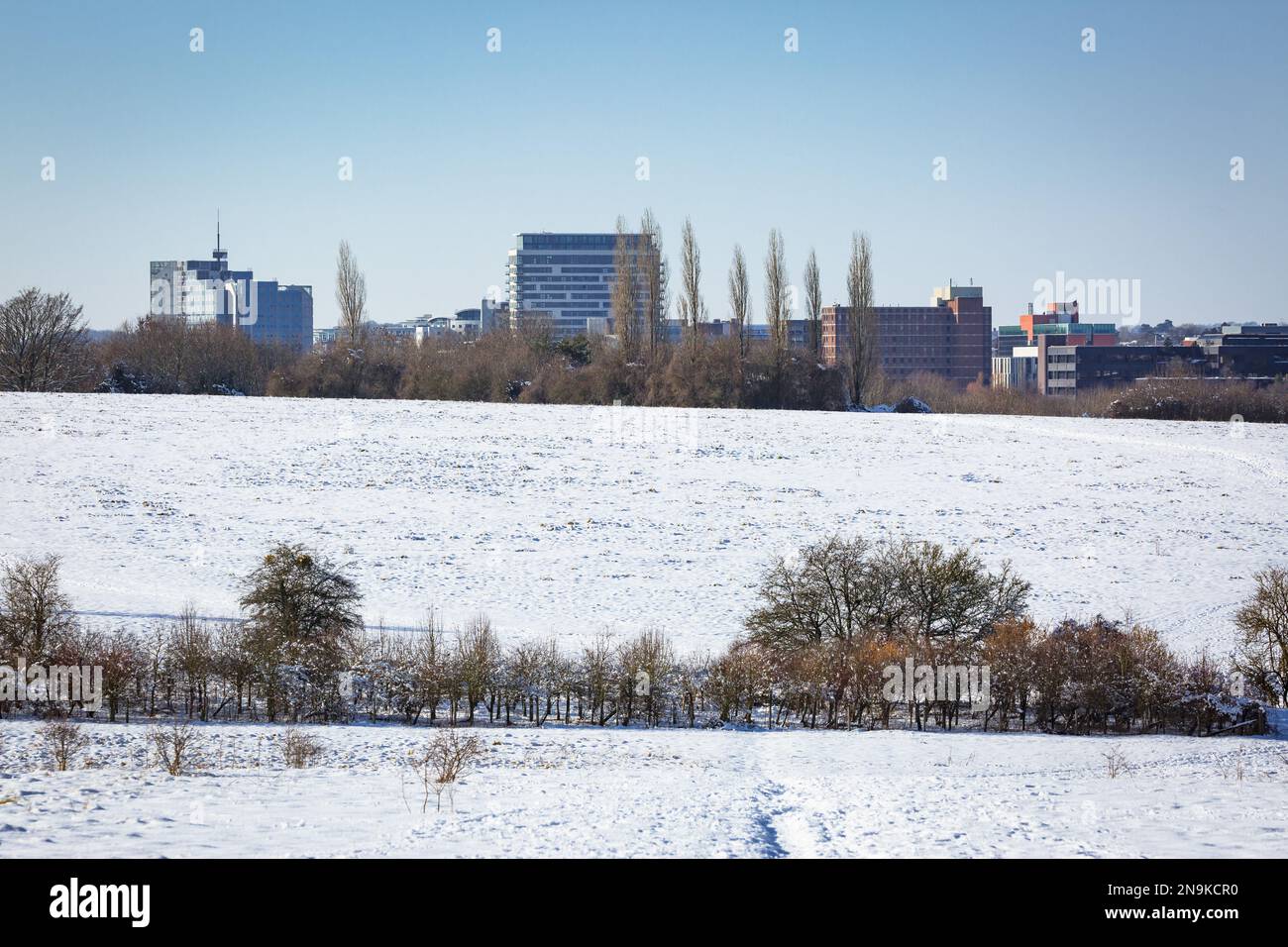 Basingstoke Common bedeckt mit Schnee, Februar 2019, nachdem Beast aus dem Osten Snow traf Stockfoto