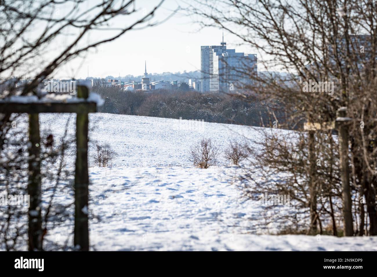 Basingstoke Common bedeckt mit Schnee, Februar 2019, nachdem Beast aus dem Osten Snow traf Stockfoto