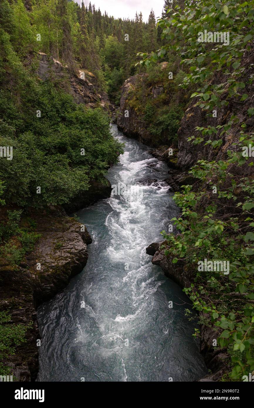 Malerischer Überblick über den Six Mile Creek im Chugach National Forest, beliebtes Ziel für Wildwasser-Rafting und Kajakfahren Stockfoto