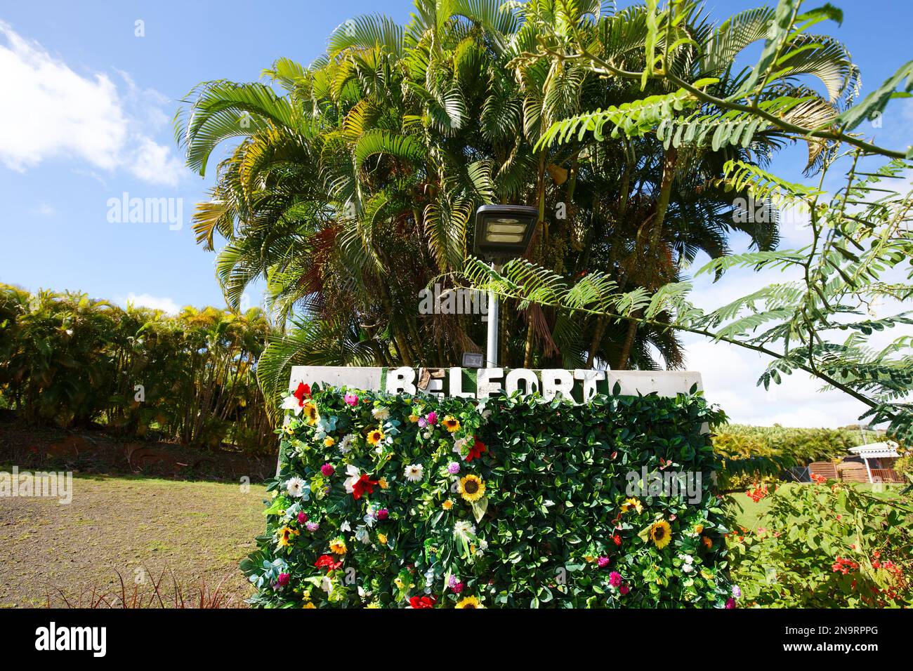 Francois, Martinique- 22. Dezember 2022 : Habitation Belfort ist eine wunderschöne Bananenplantage nur wenige Kilometer außerhalb von Fort de France, The Stockfoto