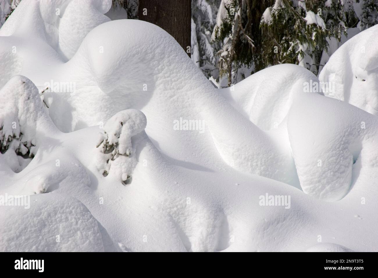 Schneehügel bildeten sich am Mount Hood in den Oregon Cascades, USA; Oregon, Vereinigte Staaten von Amerika Stockfoto