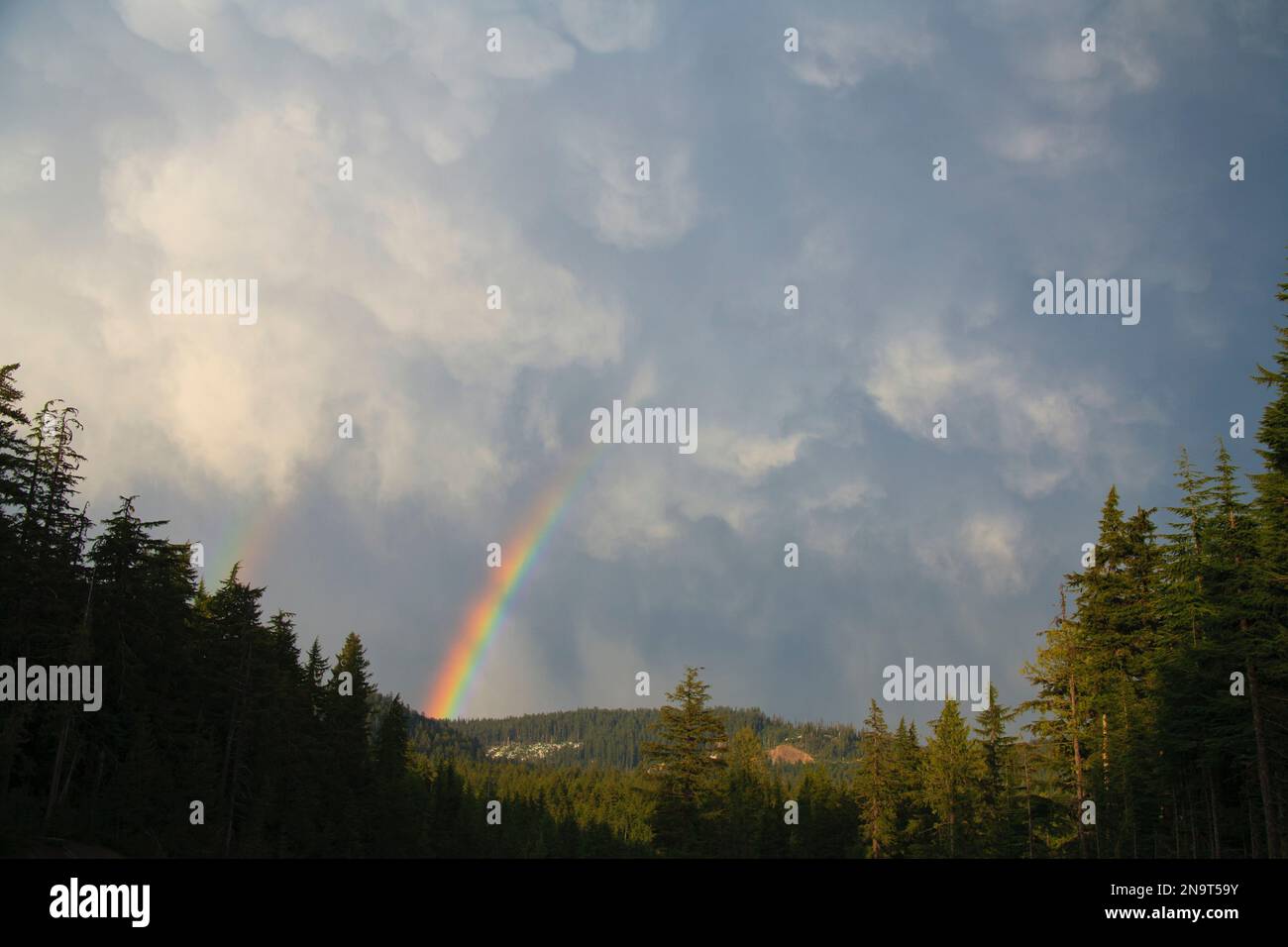 Regenbogen über den Bäumen am Mount Hood in den Oregon Cascades; Oregon, Vereinigte Staaten von Amerika Stockfoto