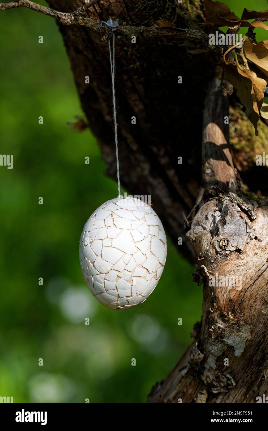 Gemaltes osterei, das im Wald an einem Baum hängt Stockfoto