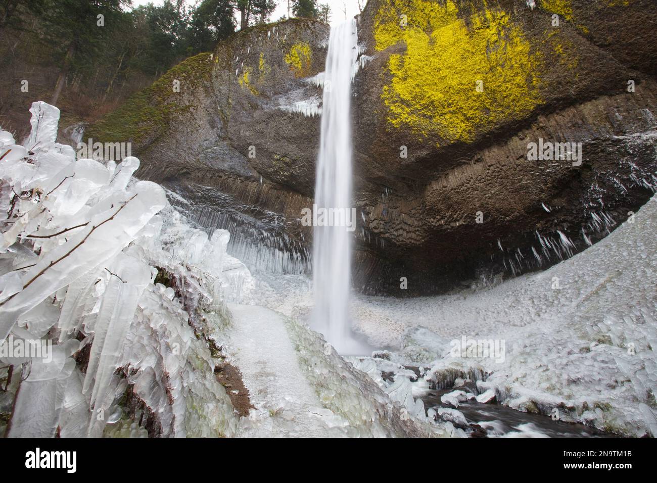 Nahaufnahme des Wintereises nach einem Sturm entlang der Latourell Falls, Columbia River Gorge National Scenic Area, Oregon, USA; Oregon, Vereinigte Staaten von Amerika Stockfoto