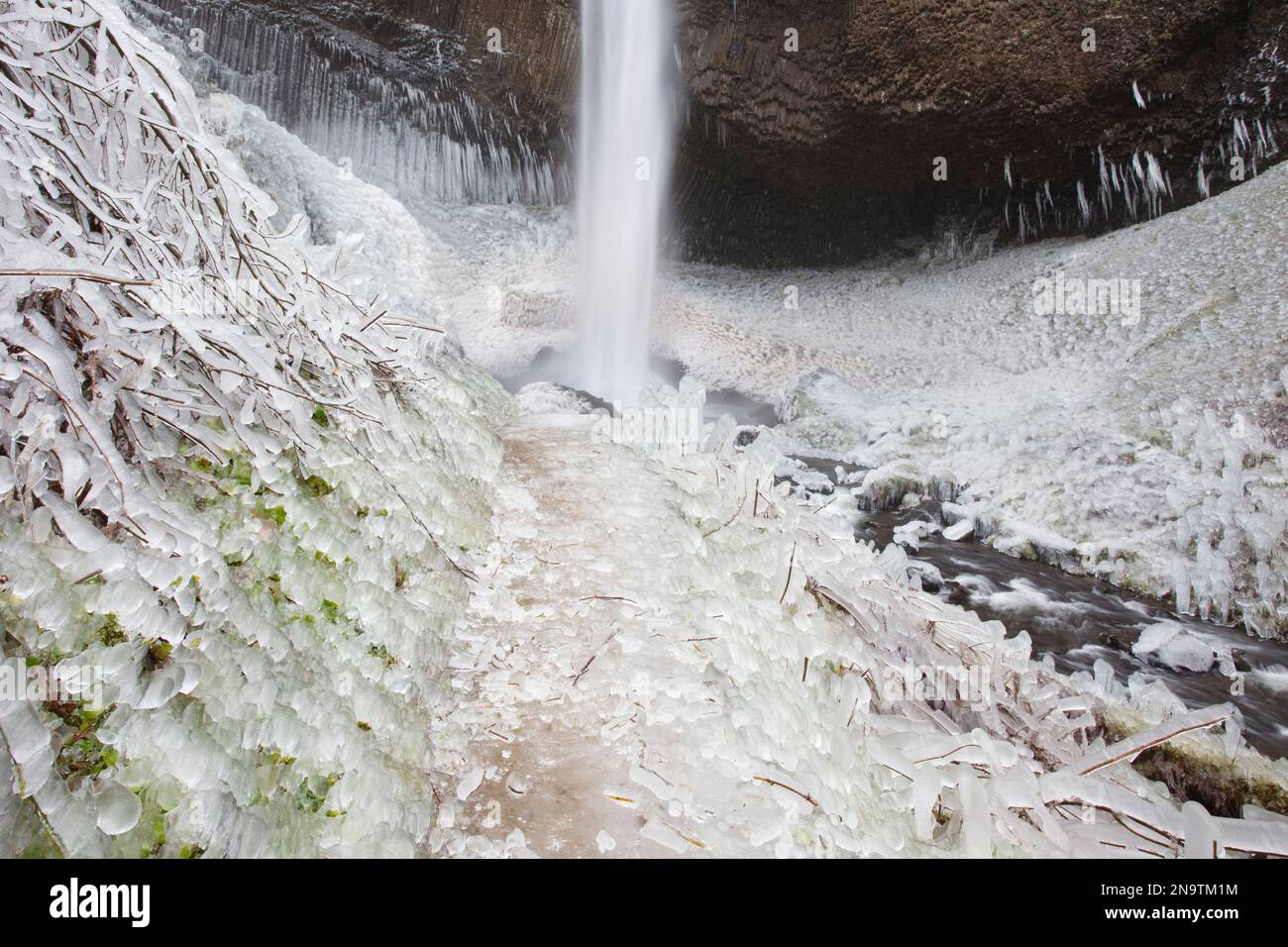 Nahaufnahme des Wintereises nach einem Sturm entlang der Latourell Falls, Columbia River Gorge National Scenic Area, Oregon, USA; Oregon, Vereinigte Staaten von Amerika Stockfoto