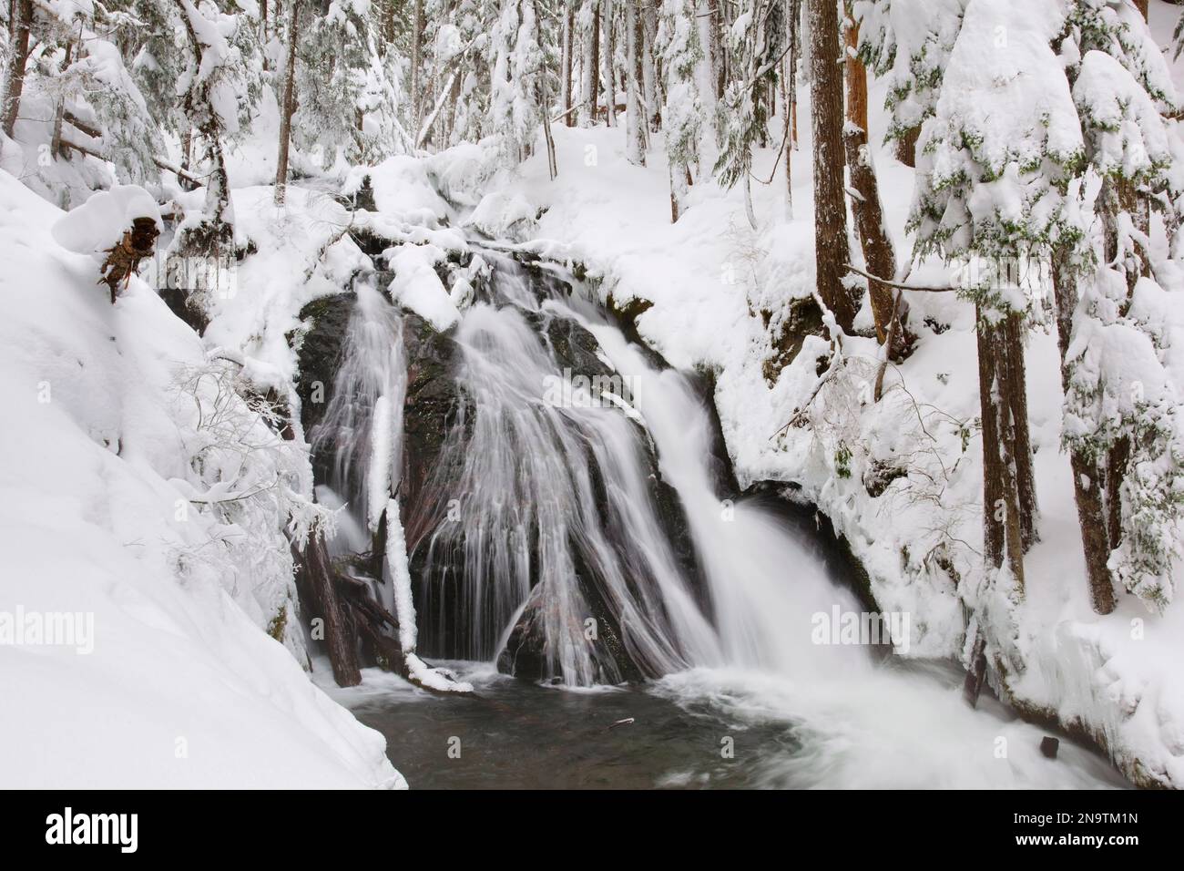 Winter Schnee und Eis an den Little Zigzag Falls im Mount Hood National Forest, Oregon, USA; Oregon, USA Stockfoto