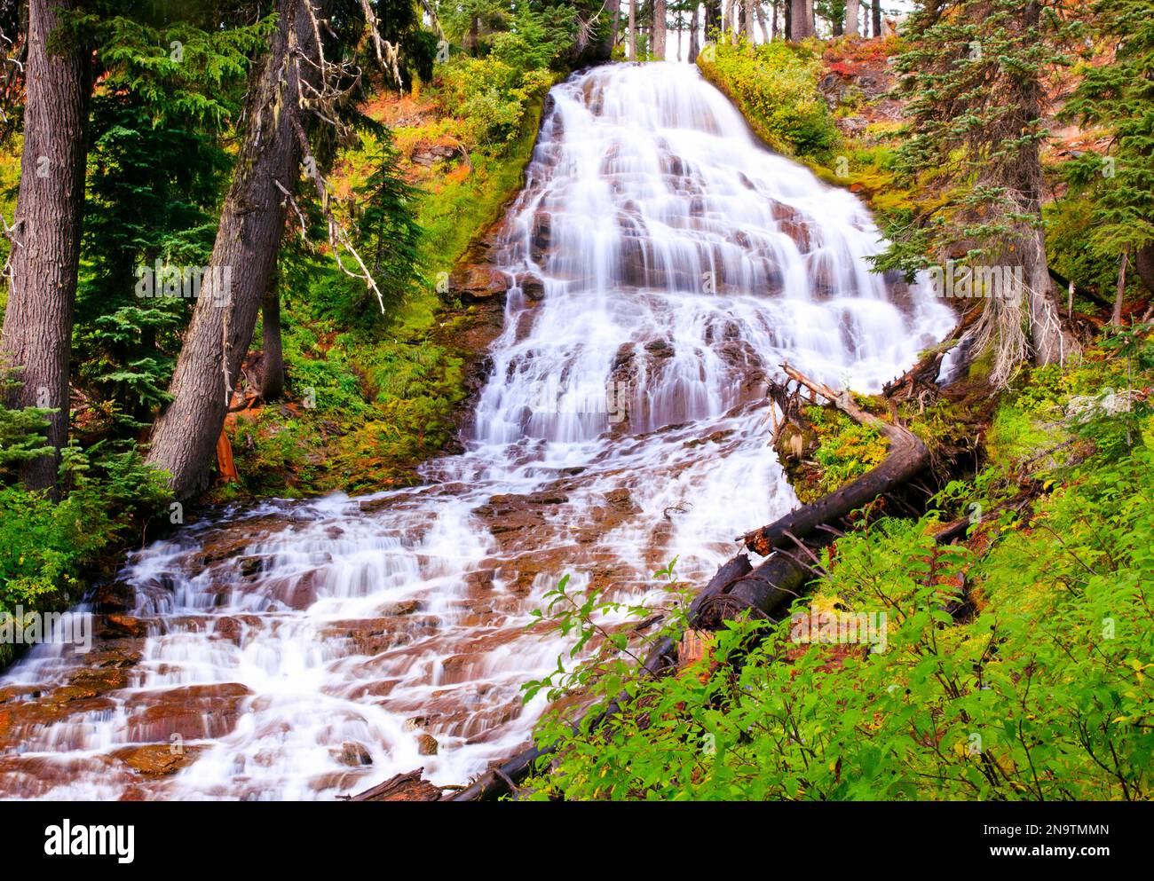 Herbstfarben bei den Umbrella Falls im Mount Hood National Forest, Oregon, USA; Oregon, Vereinigte Staaten von Amerika Stockfoto